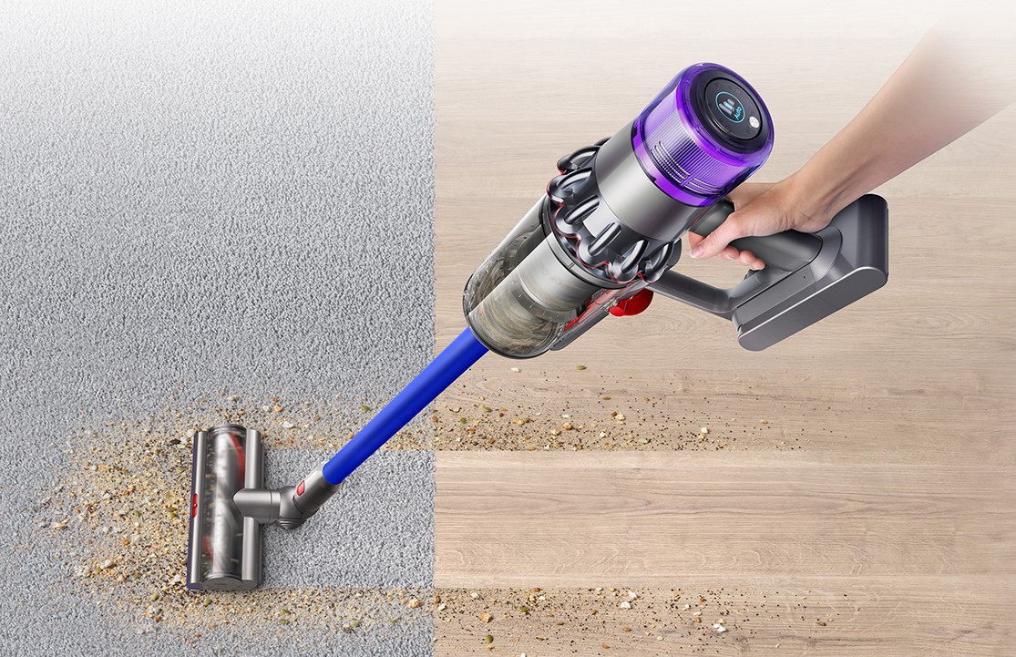 ASPIV11ANIMAEXTRADYS