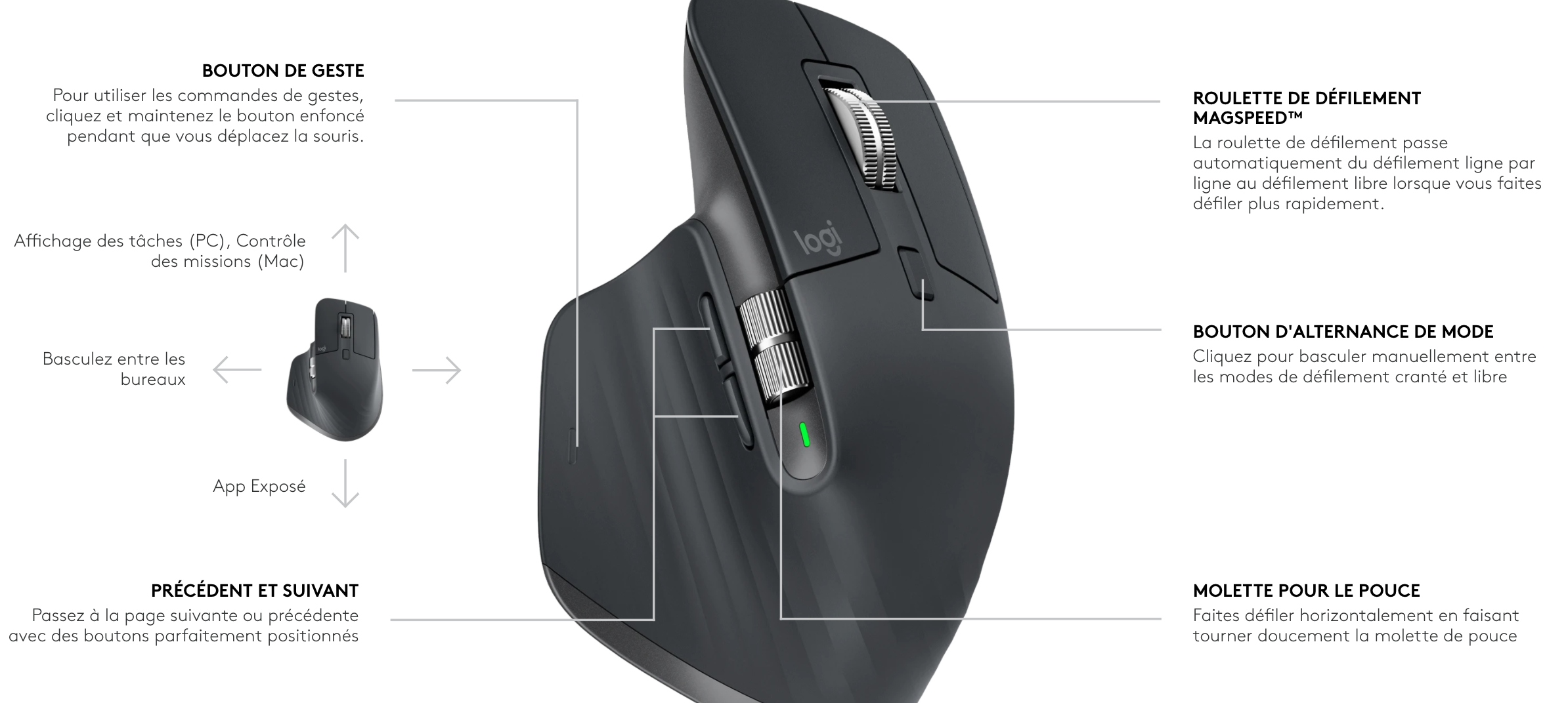 Screen Shot 2021-02-19 at 10.54.32